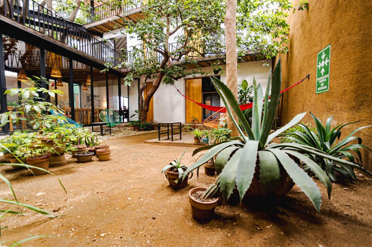 Hotel Con Corazon Oaxaca Ngoại thất bức ảnh