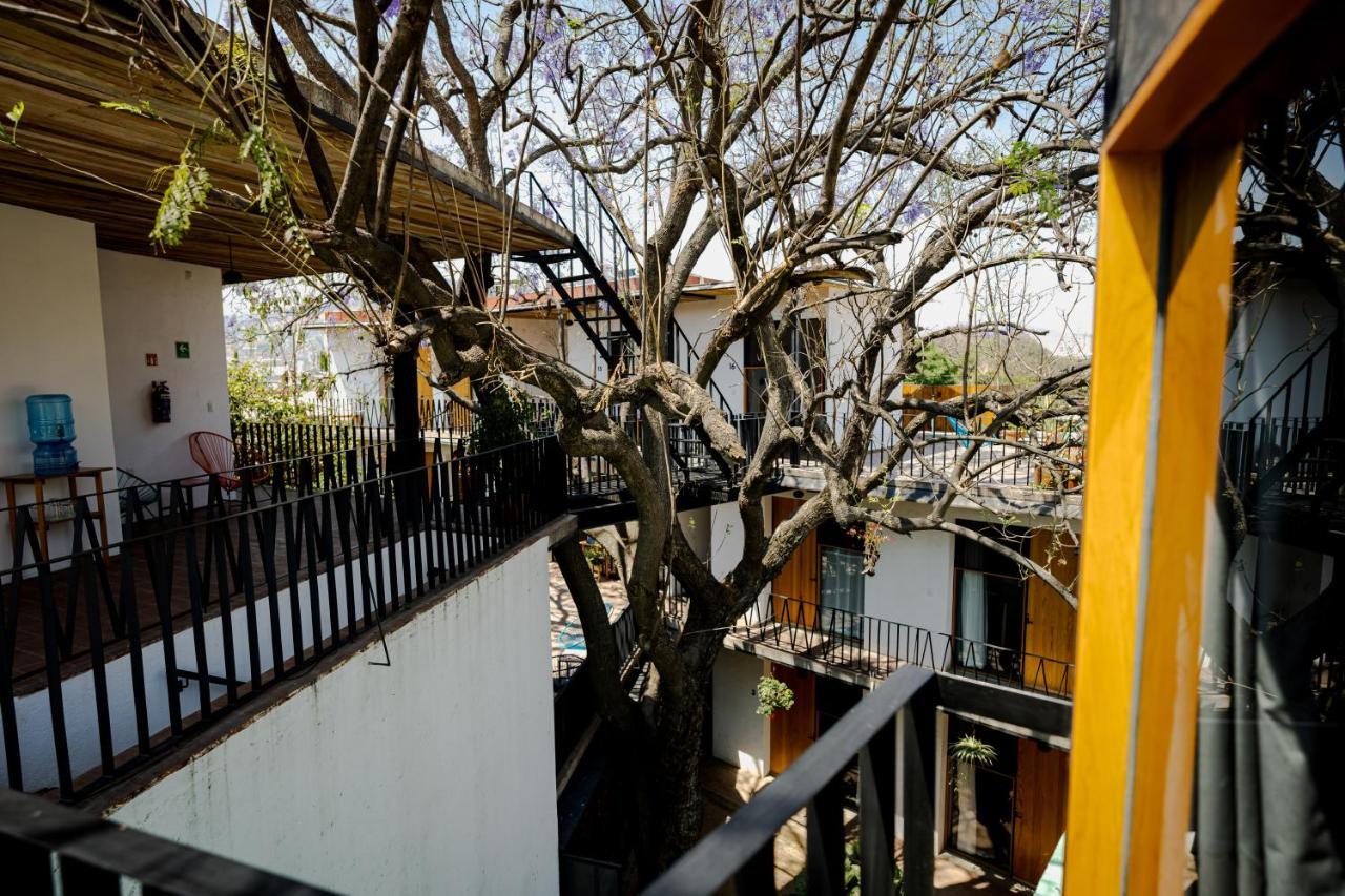Hotel Con Corazon Oaxaca Ngoại thất bức ảnh
