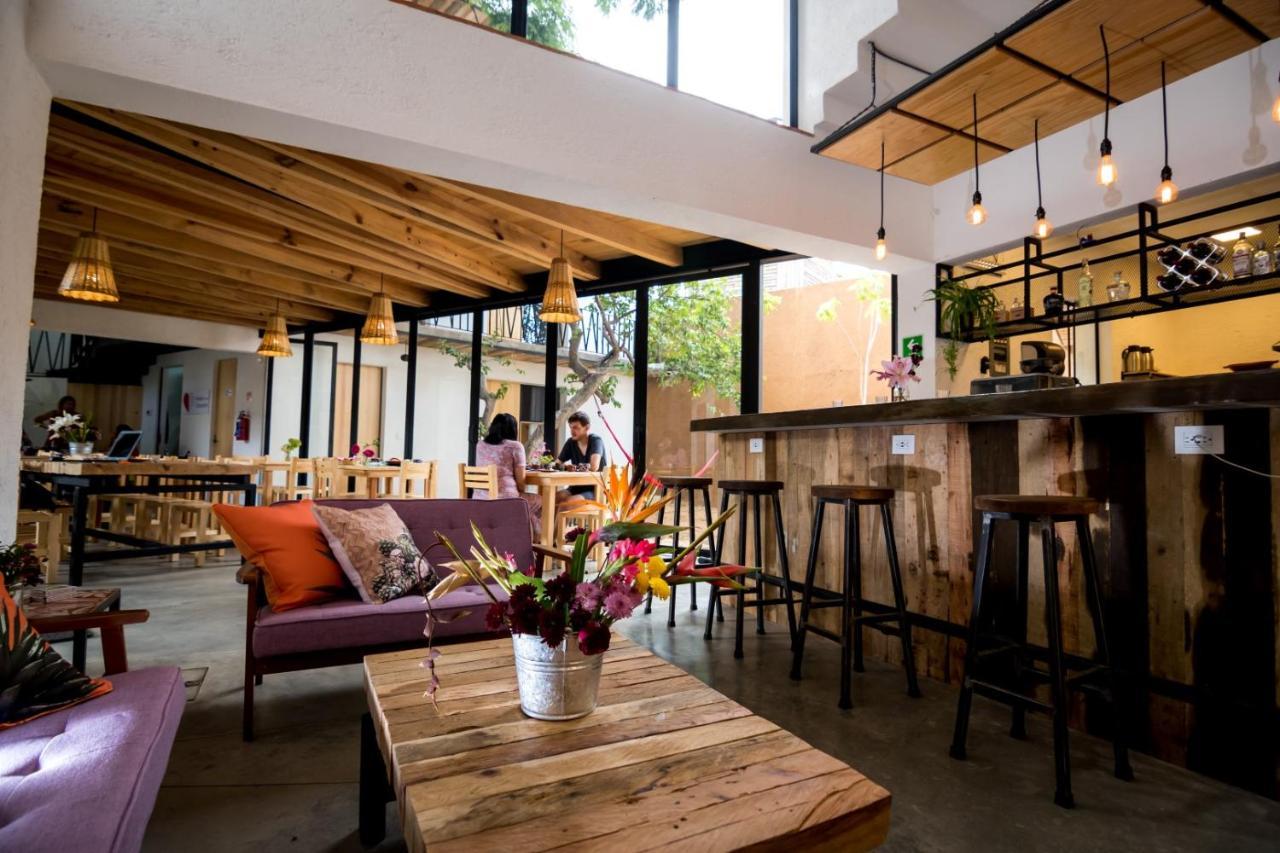 Hotel Con Corazon Oaxaca Ngoại thất bức ảnh