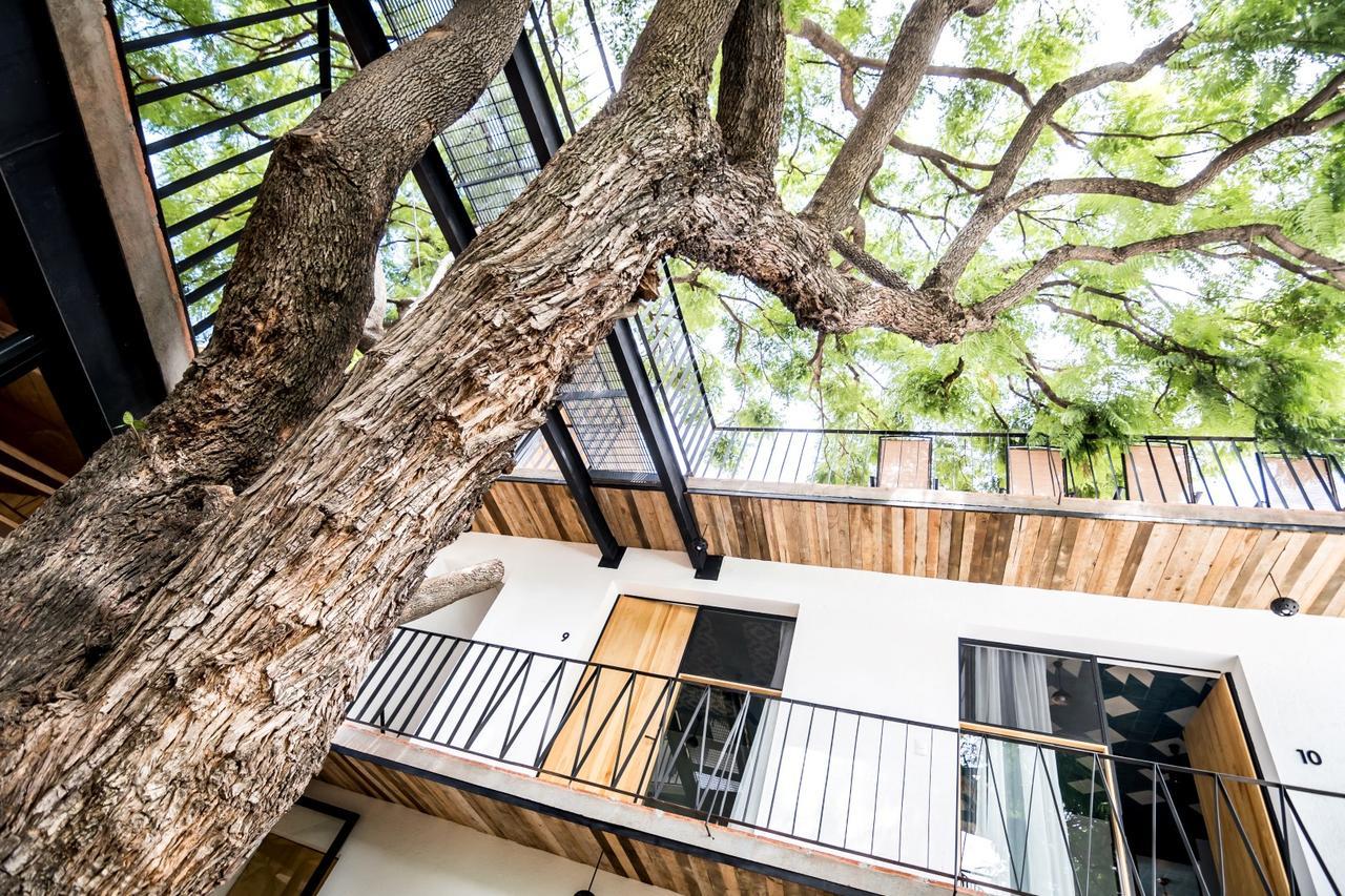 Hotel Con Corazon Oaxaca Ngoại thất bức ảnh
