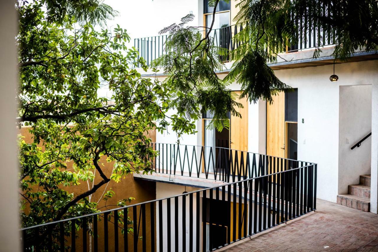Hotel Con Corazon Oaxaca Ngoại thất bức ảnh