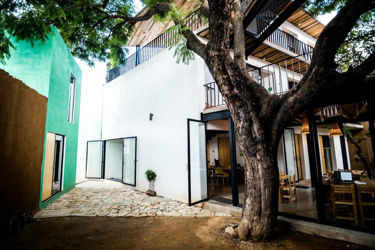 Hotel Con Corazon Oaxaca Ngoại thất bức ảnh