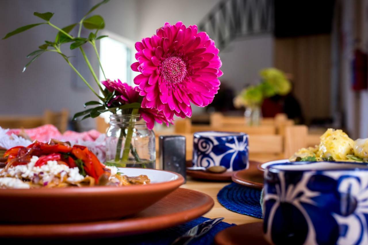 Hotel Con Corazon Oaxaca Ngoại thất bức ảnh